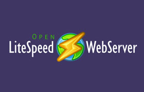 ols1clk一键快速安装OpenLiteSpeed脚本 可同步安装WordPress程序-大鸟笔记