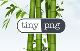 TinyPNG - 又一款不错的在线可批量图片压缩工具-大鸟笔记