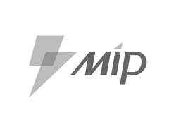 百度搜索 MIP 闪电标志下线-蓝色小闪电和站长说拜拜-大鸟笔记