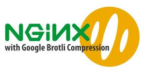 好用的Nginx扩展-你安装了几个？