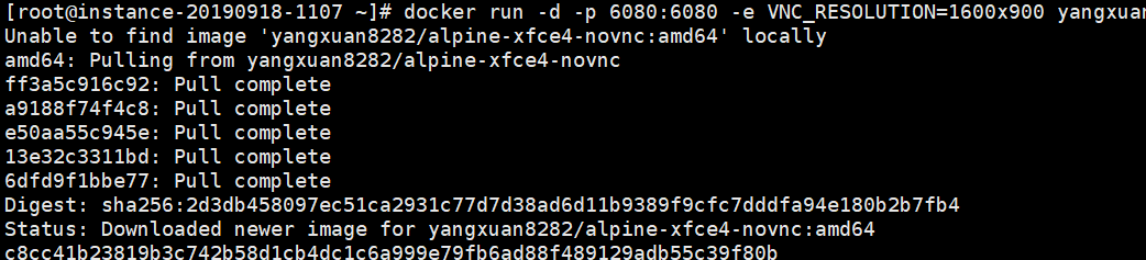 Oracle Cloud韩国云主机Docker安装Xfce桌面环境(alpine-xfce4-novnc)