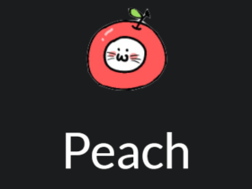 宝塔面板安装Peach – 支持多语言/实时同步/全文搜索的Web文档程序