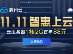 腾讯云:11.11(双十一)- 121云服务器年付88元/245配置3年998元-大鸟笔记