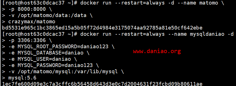 宝塔面板Docker安装Matomo – 并设置域名访问