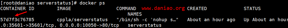 Docker快速部署ServerStatus云探针 – 可实现多服务器云监控