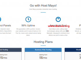 Host Mayo，荷兰/美国VPS 5折促销，$2.5/月,1核/1G内存/20GB SSD/1G带宽/1T流量