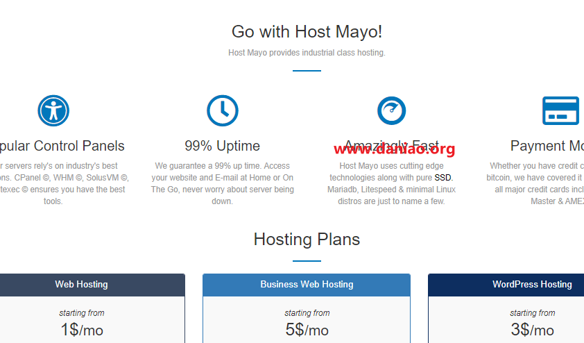 Host Mayo，荷兰/美国VPS 5折促销，$2.5/月,1核/1G内存/20GB SSD/1G带宽/1T流量