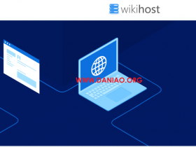 微基主机(wikihost)：日本BGP VPS预售，可选双倍计算资源或流量，赠送每日备份，年付￥248起
