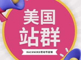 racknerd：便宜美国多IP站群服务器促销，可选4到32个IP段，低至$145/月，有洛杉矶/纽约机房