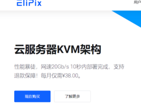 elipix，美国高性能VPS测评分享，月付¥38元/起，20G带宽/20T流量/1T防御