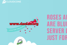 CloudCone 美国大硬盘VPS,$24.99/年,3核2G/240G硬盘/1G带宽@4T流量-大鸟笔记