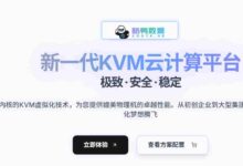 酷鸭网络，E5基础硬件超值体验-首月仅需1元/新加坡 [铂金8249C 国际] 服务器-首月0元购/高端金牌硬件首月6.9元-大鸟笔记