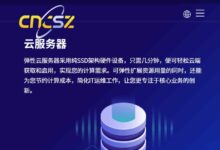 cncsz,美国/香港站群服务器 32G/1T SSD/100M CN2线路/8C,1299/首月,续费同价-大鸟笔记