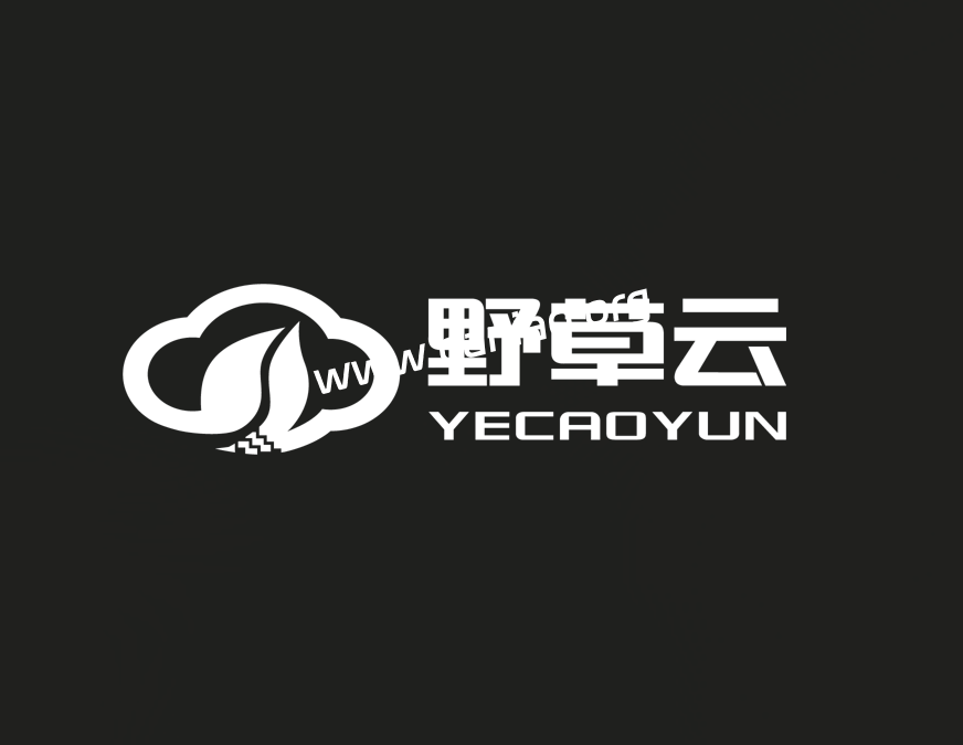 野草云，香港轻量云88元/年(接入CNIX)，1核(AMD 7**2)1G/15G NVME/100M优质@380G月流量-大鸟笔记